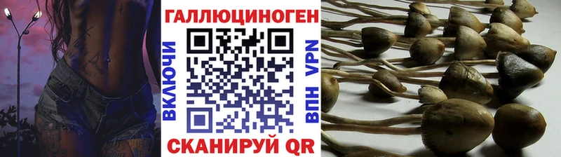Купить закладки  Ефремов  Псилоцибиновые грибы Magic Shrooms 